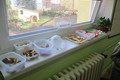 Fotografie10