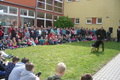 Fotografie11