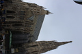 Fotografie31