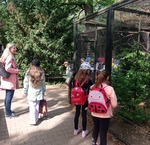 1. třída - výlet do Zoo 2022